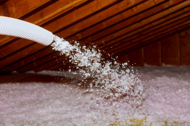 Best Local Insulation Services  in Atkinson, NE