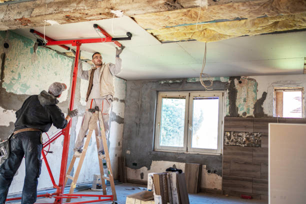 Best Insulation Replacement Services  in Atkinson, NE