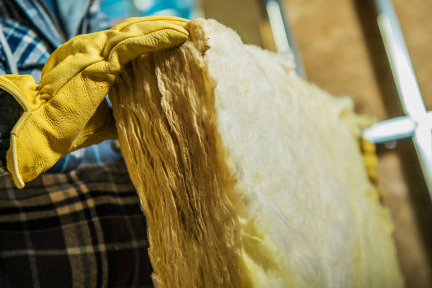 Best Wall Insulation Contractor  in Atkinson, NE
